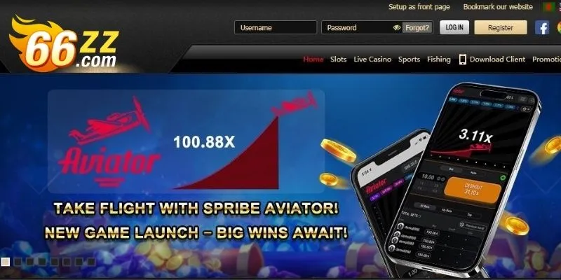 Learn about the Pana365 Casino betting field
