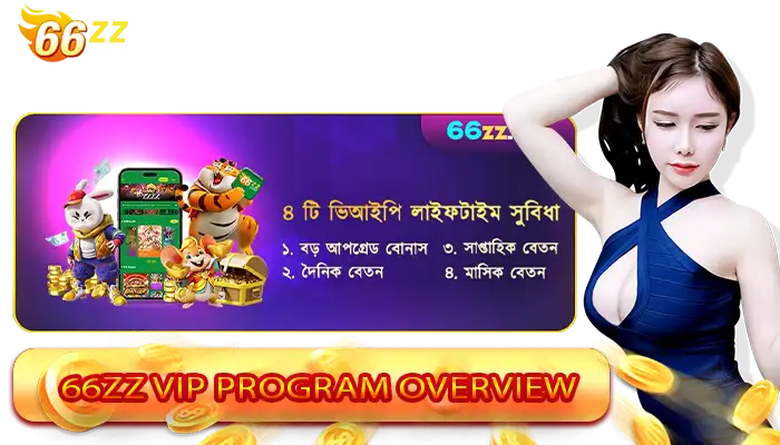 66ZZ VIP Program Overview