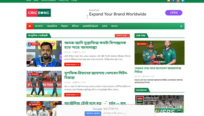 CricBong platform overview for Bangladesh cricket fans in 2025